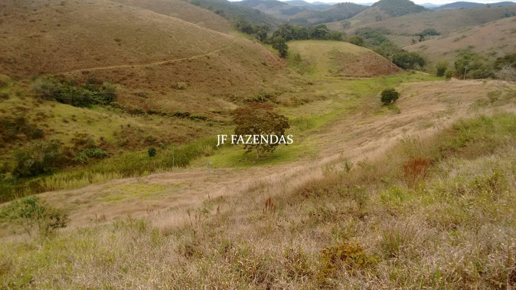 Sitio em Juiz de Fora- MG – 39 hectares Sitio em Juiz de Fora- MG – 39 hectares