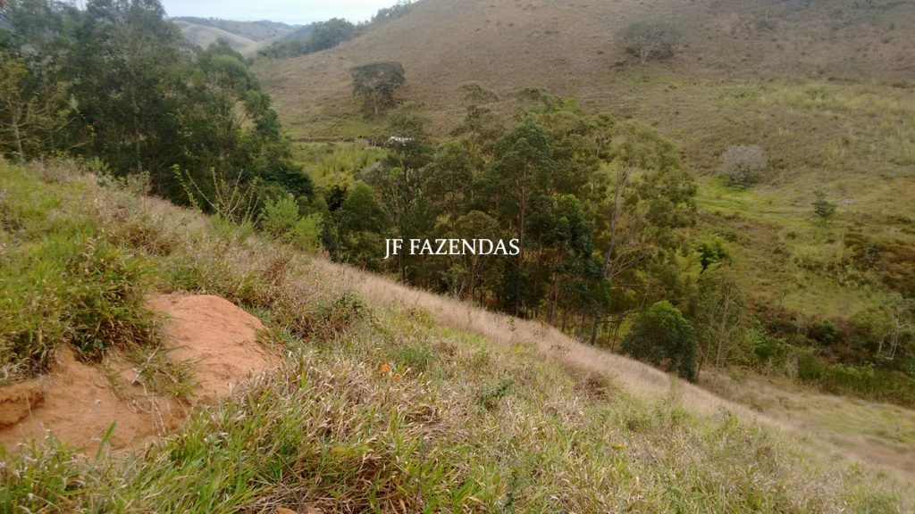 Sitio em Juiz de Fora- MG – 39 hectares Sitio em Juiz de Fora- MG – 39 hectares