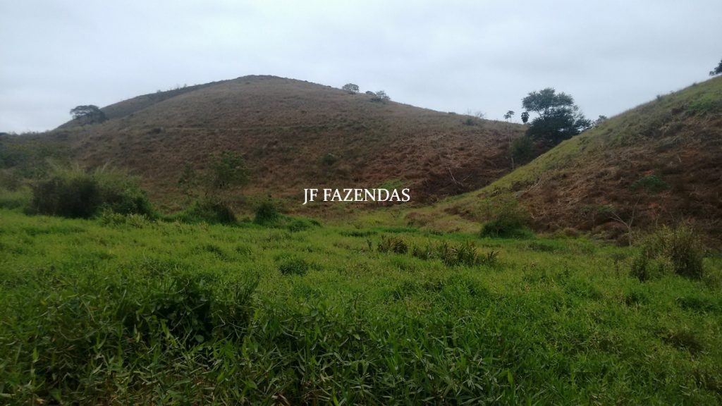 Sitio em Juiz de Fora- MG – 39 hectares Sitio em Juiz de Fora- MG – 39 hectares