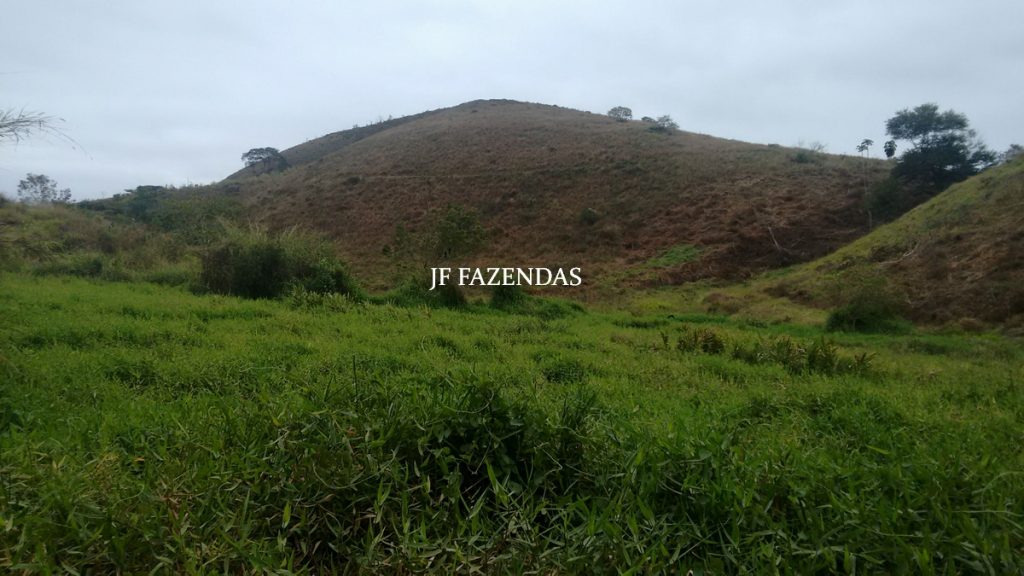Sitio em Juiz de Fora- MG – 39 hectares Sitio em Juiz de Fora- MG – 39 hectares