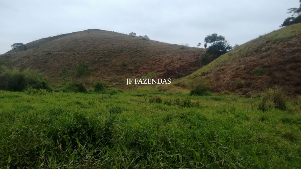 Sitio em Juiz de Fora- MG – 39 hectares Sitio em Juiz de Fora- MG – 39 hectares