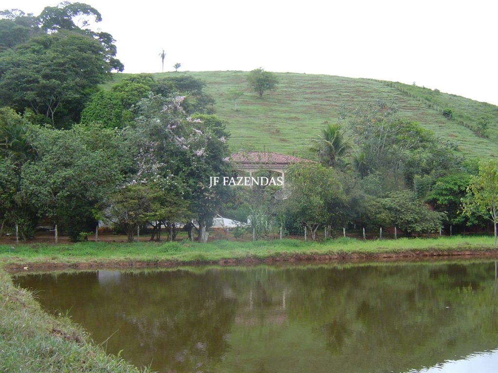 Sitio em Tabuleiro – MG – 14,11.48 hectares Sitio em Tabuleiro – MG – 14,11.48 hectares