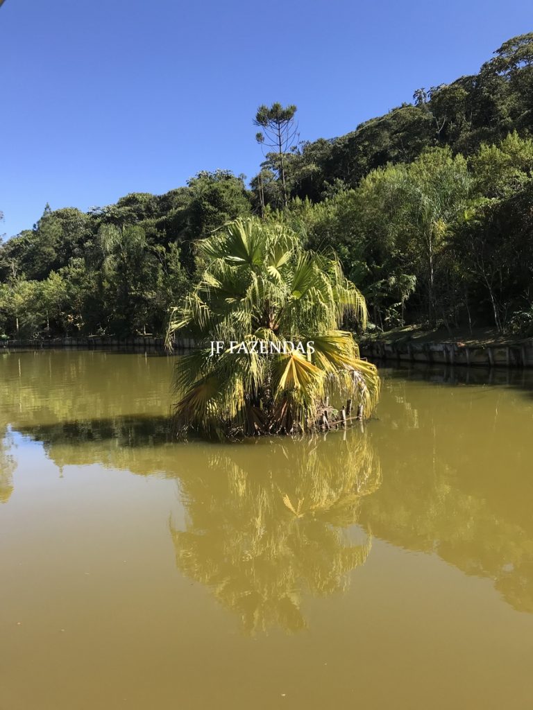 Sitio em Juiz de Fora – MG – 2,2 hectares Sitio em Juiz de Fora – MG – 2,2 hectares