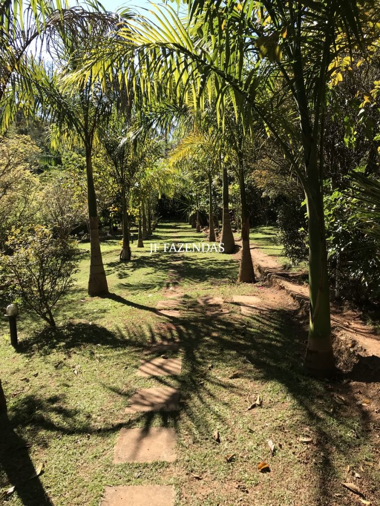 Sitio em Juiz de Fora – MG – 2,2 hectares Sitio em Juiz de Fora – MG – 2,2 hectares