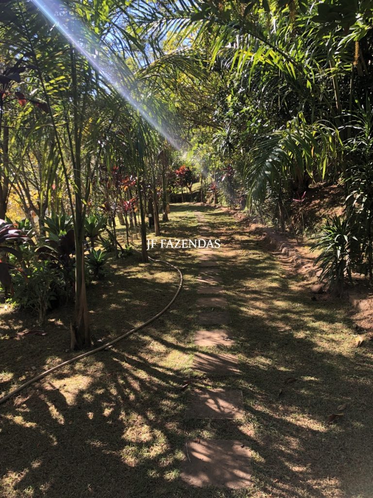 Sitio em Juiz de Fora – MG – 2,2 hectares Sitio em Juiz de Fora – MG – 2,2 hectares