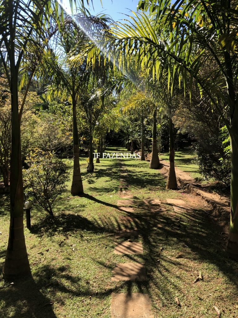Sitio em Juiz de Fora – MG – 2,2 hectares Sitio em Juiz de Fora – MG – 2,2 hectares