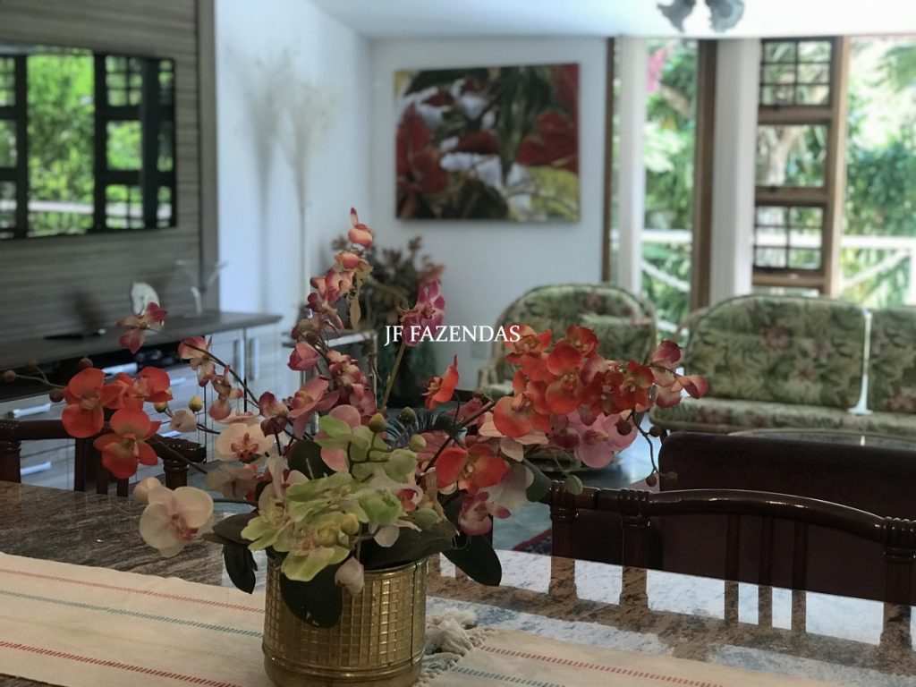 Sitio em Juiz de Fora – MG – 2,2 hectares Sitio em Juiz de Fora – MG – 2,2 hectares