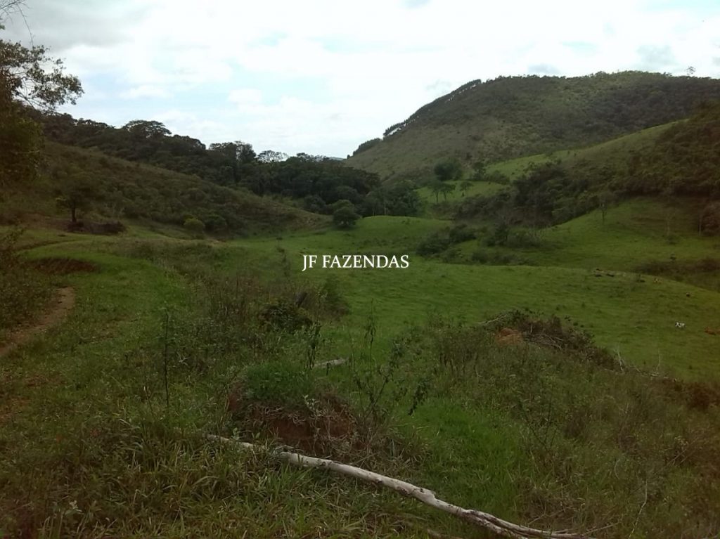 Fazenda em Belmiro Braga – MG – 307 hectares Fazenda em Belmiro Braga – MG – 307 hectares