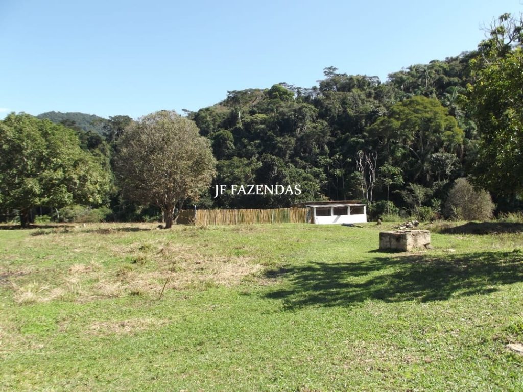 Fazenda em Belmiro Braga – MG – 307 hectares