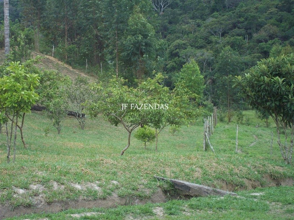 Sitio em Santa Barbara do Monte Verde – MG – 43 hectares Sitio em Santa Barbara do Monte Verde – MG – 43 hectares