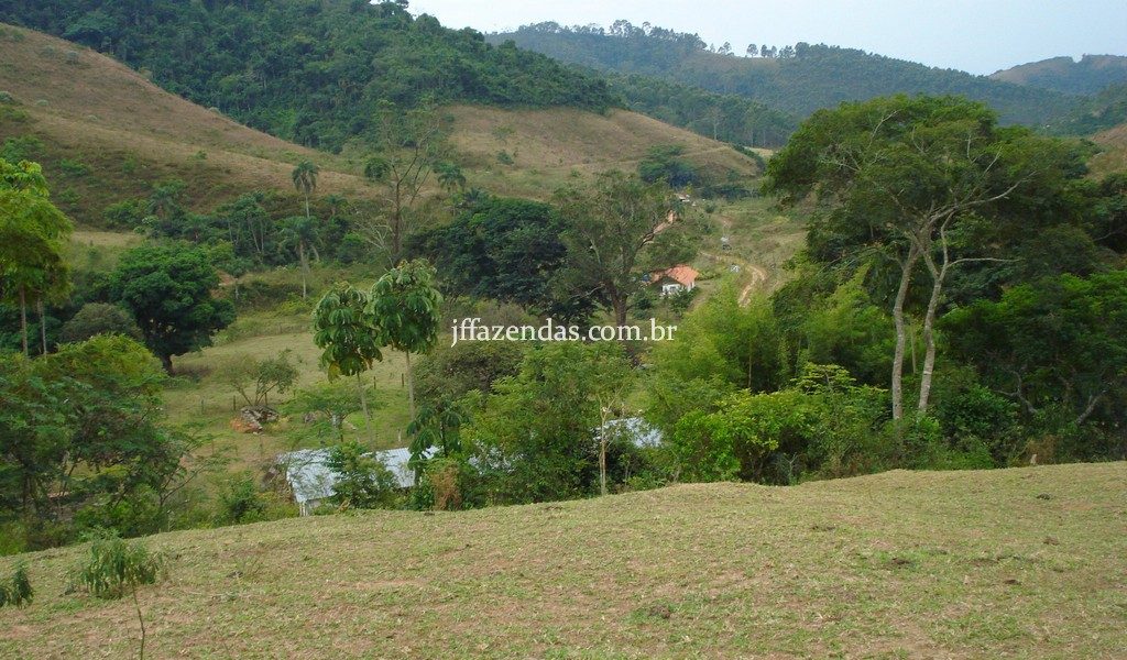 Fazenda em Belmiro Braga – MG – 307 hectares