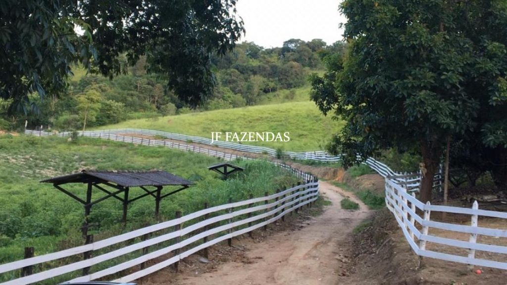 Fazenda em Alfredo Vasconcelos- MG 112 hectares