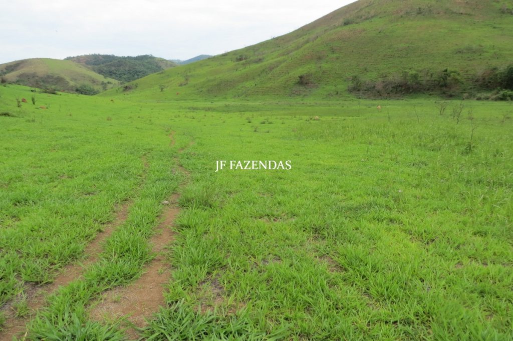 Fazenda em Comendador Levy Gasparian/ Paraibuna – 238 hectares Fazenda em Comendador Levy Gasparian/ Paraibuna – 238 hectares