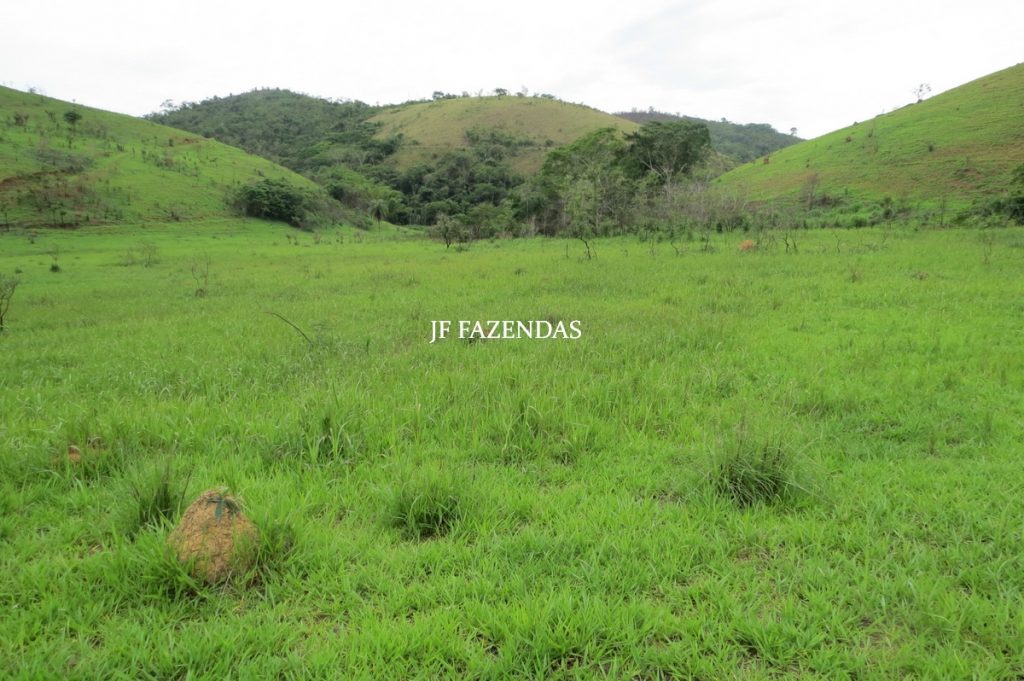 Fazenda em Comendador Levy Gasparian/ Paraibuna – 238 hectares Fazenda em Comendador Levy Gasparian/ Paraibuna – 238 hectares