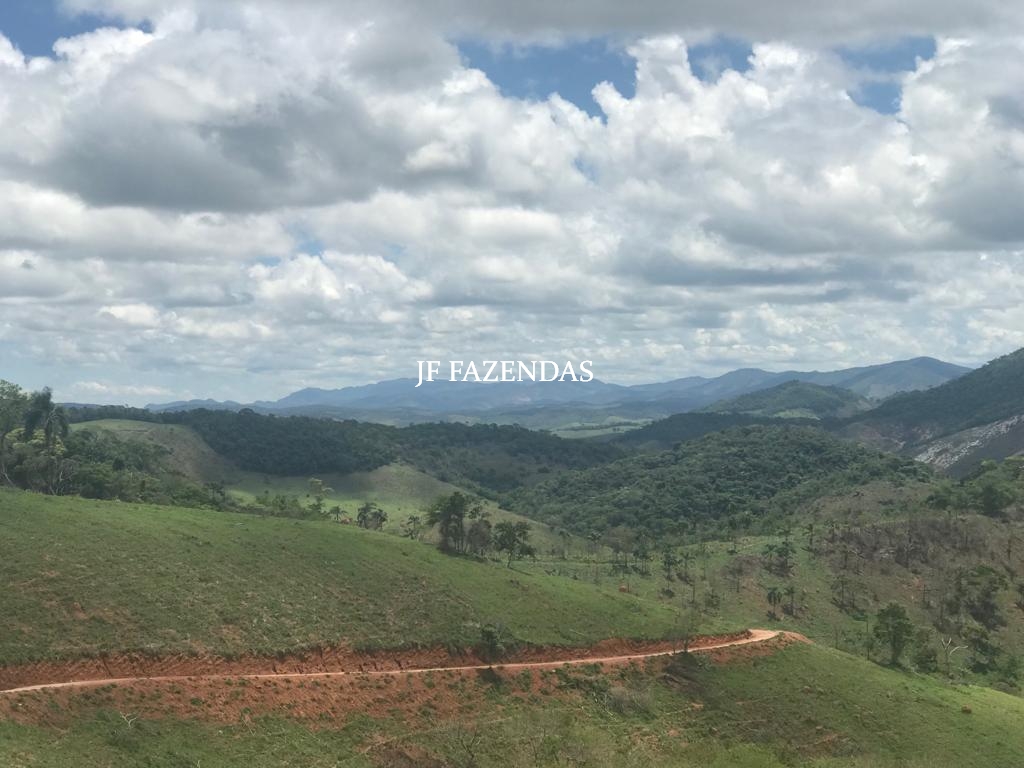 Fazenda em Torreões – Juiz de Fora – 235 hectares Fazenda em Torreões – Juiz de Fora – 235 hectares