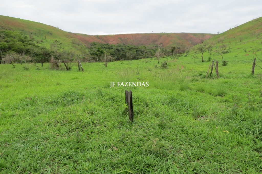 Fazenda em Comendador Levy Gasparian/ Paraibuna – 238 hectares Fazenda em Comendador Levy Gasparian/ Paraibuna – 238 hectares