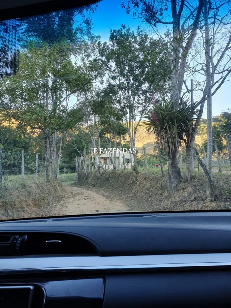 Fazenda em Torreões – Juiz de Fora – 235 hectares Fazenda em Torreões – Juiz de Fora – 235 hectares