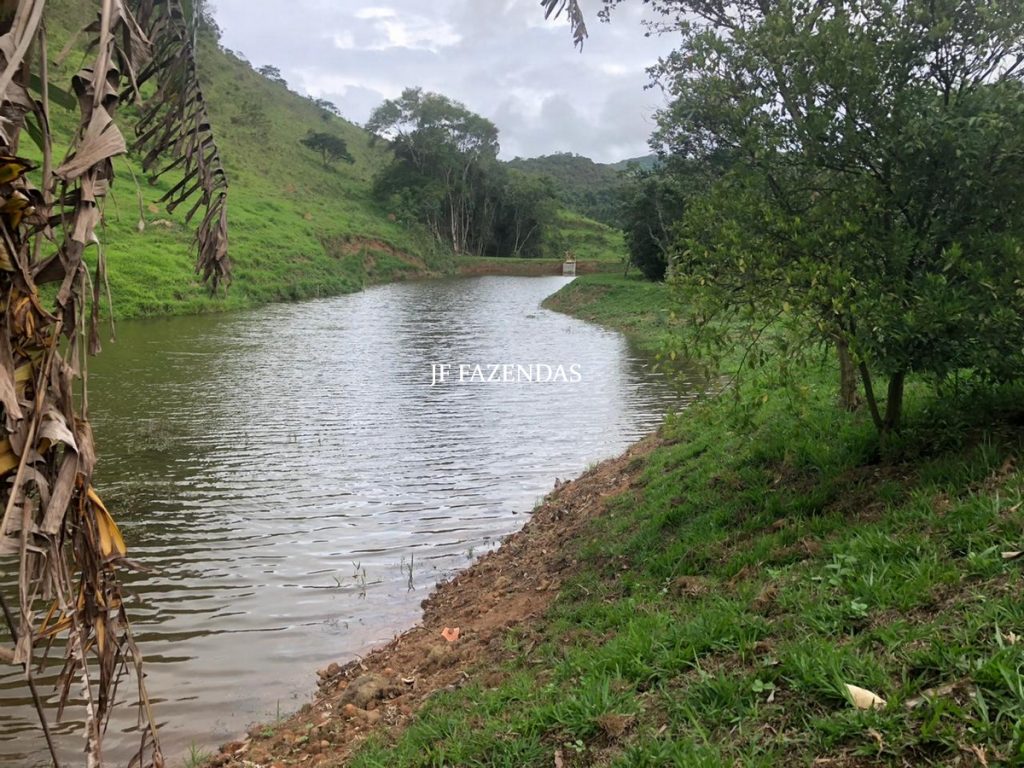 Fazenda em Torreões – Juiz de Fora – 235 hectares Fazenda em Torreões – Juiz de Fora – 235 hectares