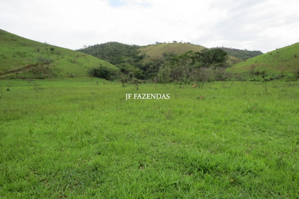 Fazenda em Comendador Levy Gasparian/ Paraibuna – 238 hectares Fazenda em Comendador Levy Gasparian/ Paraibuna – 238 hectares