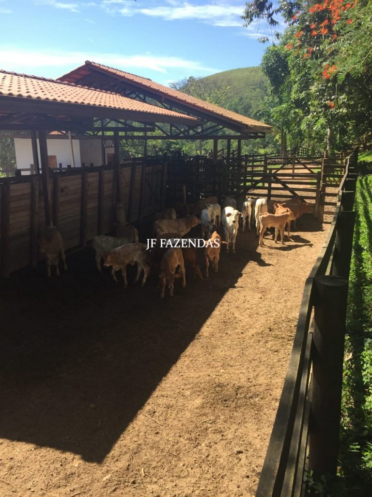 Fazenda em Torreões – Juiz de Fora – 235 hectares Fazenda em Torreões – Juiz de Fora – 235 hectares