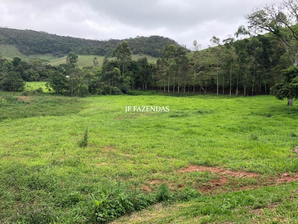 Fazenda em Torreões – Juiz de Fora – 235 hectares Fazenda em Torreões – Juiz de Fora – 235 hectares
