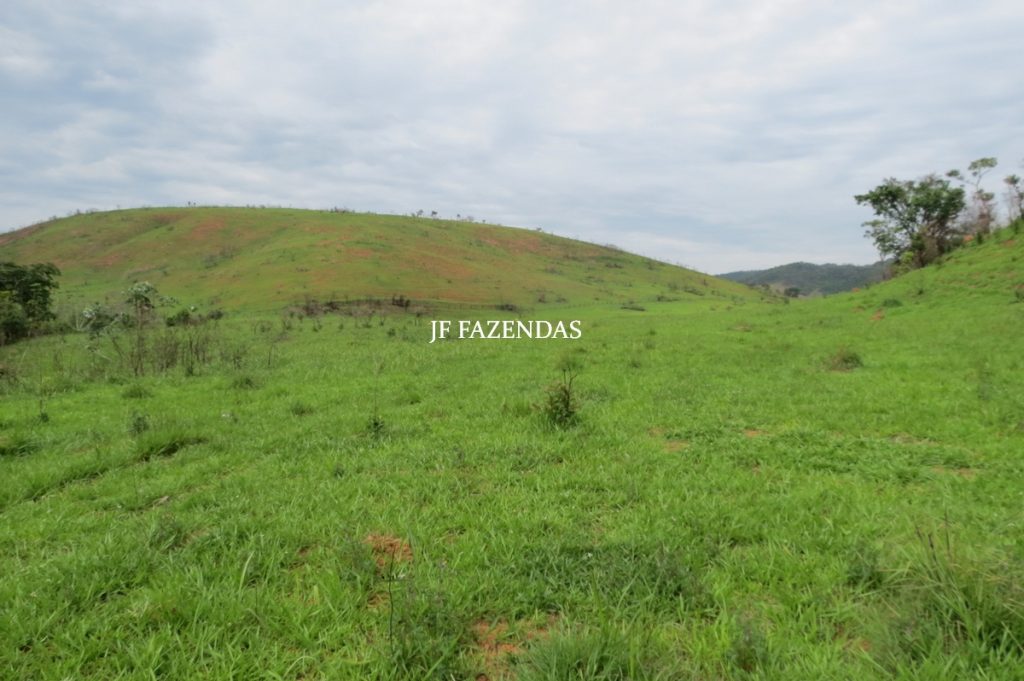 Fazenda em Comendador Levy Gasparian/ Paraibuna – 238 hectares Fazenda em Comendador Levy Gasparian/ Paraibuna – 238 hectares
