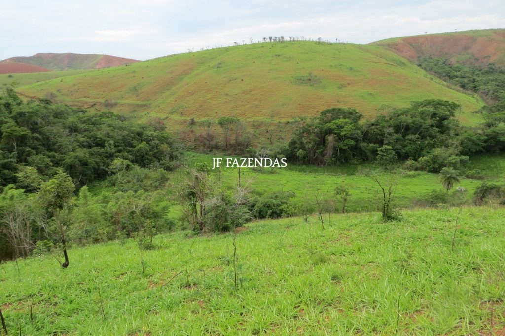 Fazenda em Comendador Levy Gasparian/ Paraibuna – 238 hectares Fazenda em Comendador Levy Gasparian/ Paraibuna – 238 hectares