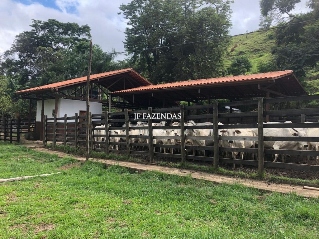 Fazenda em Torreões – Juiz de Fora – 235 hectares Fazenda em Torreões – Juiz de Fora – 235 hectares