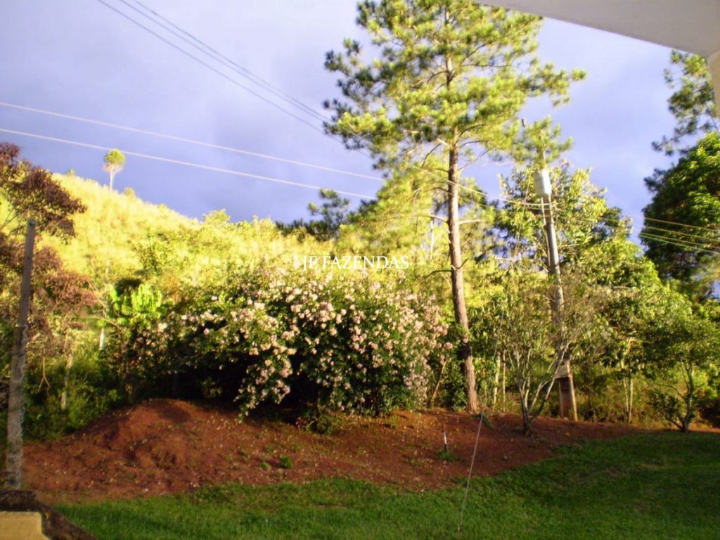 Sitio em Igrejinha – Juiz de Fora/MG – 30 hectares Sitio em Igrejinha – Juiz de Fora/MG – 30 hectares