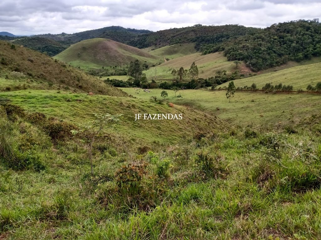 Fazenda em Torreões – Juiz de Fora – 235 hectares Fazenda em Torreões – Juiz de Fora – 235 hectares