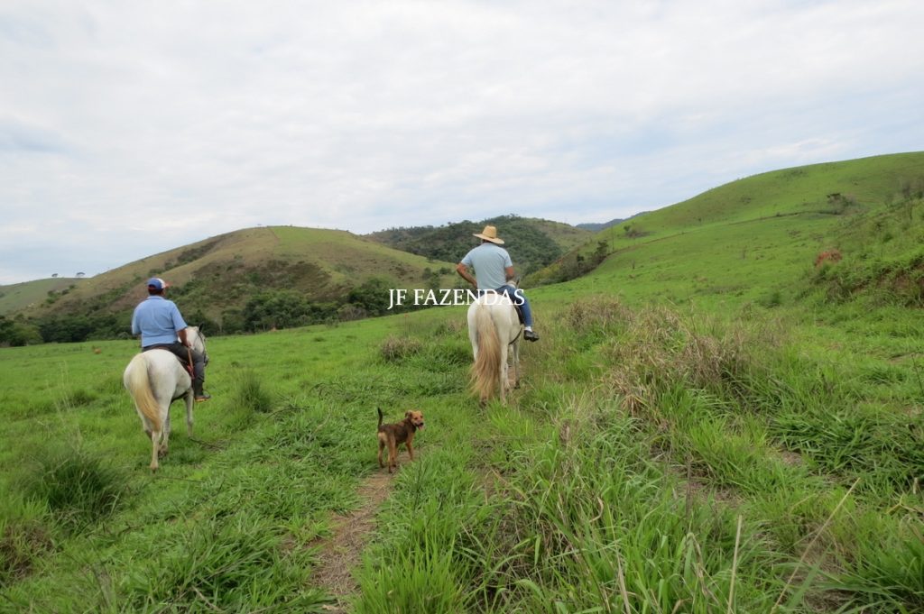 Fazenda em Comendador Levy Gasparian/ Paraibuna – 238 hectares Fazenda em Comendador Levy Gasparian/ Paraibuna – 238 hectares