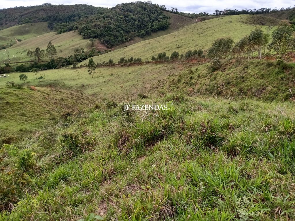 Fazenda em Torreões – Juiz de Fora – 235 hectares Fazenda em Torreões – Juiz de Fora – 235 hectares