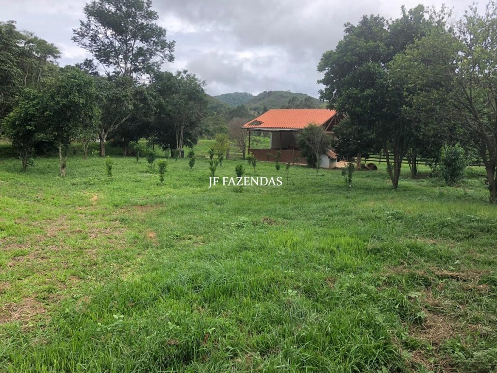 Fazenda em Torreões – Juiz de Fora – 235 hectares Fazenda em Torreões – Juiz de Fora – 235 hectares