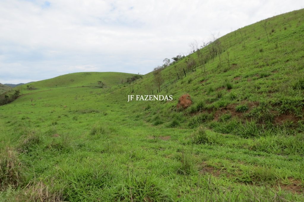 Fazenda em Comendador Levy Gasparian/ Paraibuna – 238 hectares Fazenda em Comendador Levy Gasparian/ Paraibuna – 238 hectares