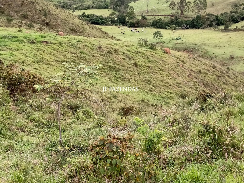 Fazenda em Torreões – Juiz de Fora – 235 hectares Fazenda em Torreões – Juiz de Fora – 235 hectares