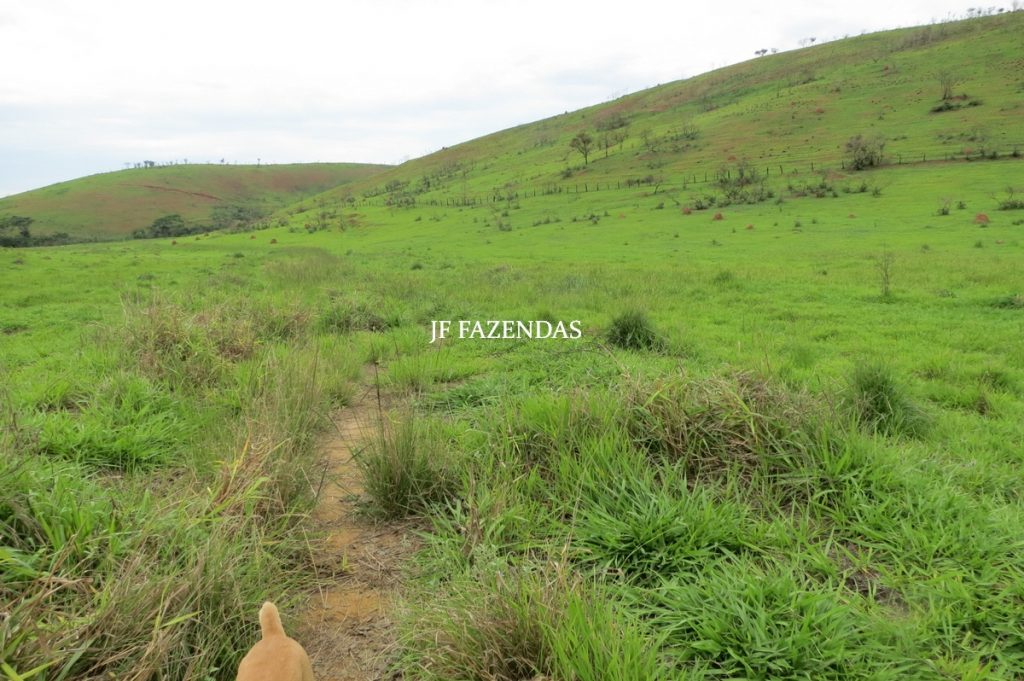 Fazenda em Comendador Levy Gasparian/ Paraibuna – 238 hectares Fazenda em Comendador Levy Gasparian/ Paraibuna – 238 hectares