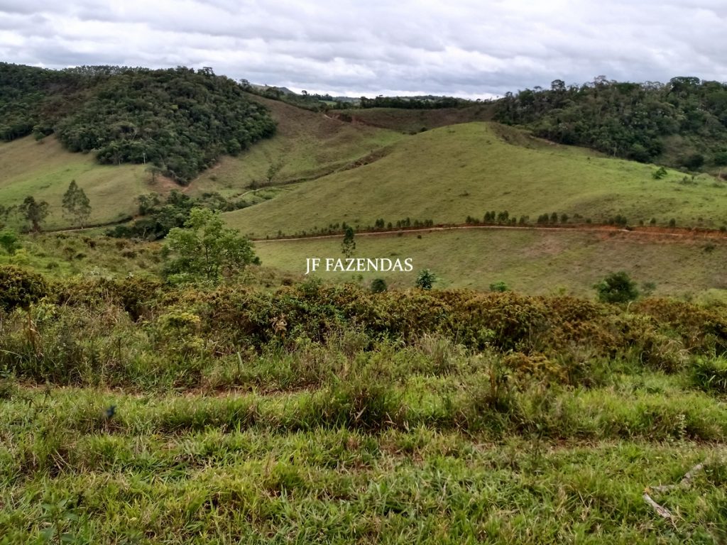 Fazenda em Torreões – Juiz de Fora – 235 hectares Fazenda em Torreões – Juiz de Fora – 235 hectares