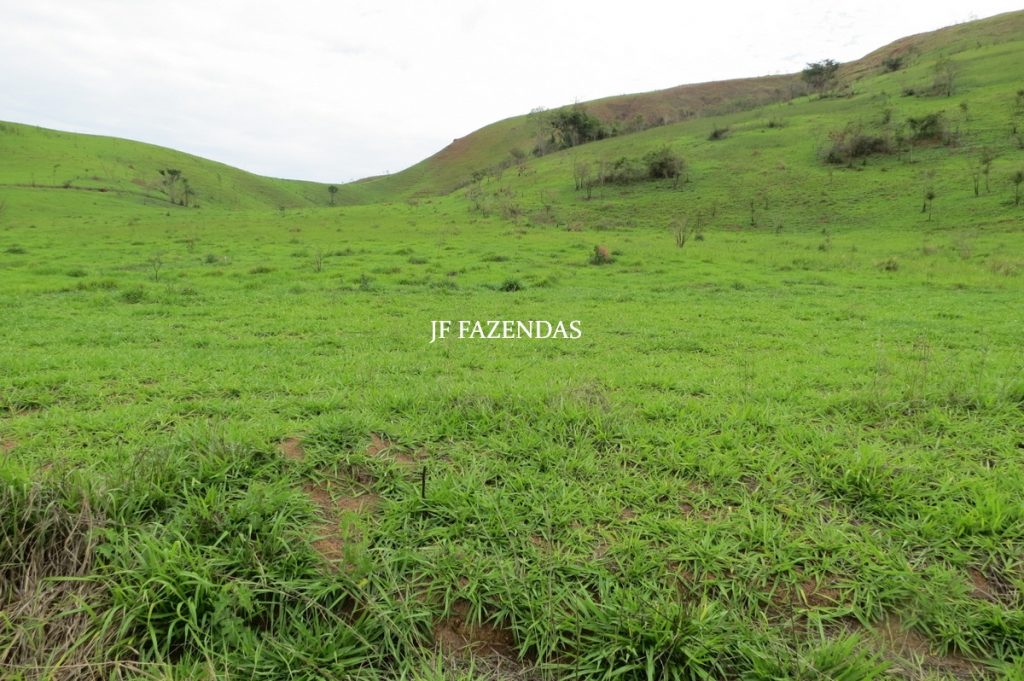 Fazenda em Comendador Levy Gasparian/ Paraibuna – 238 hectares Fazenda em Comendador Levy Gasparian/ Paraibuna – 238 hectares