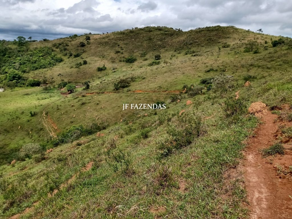 Fazenda em Torreões – Juiz de Fora – 235 hectares Fazenda em Torreões – Juiz de Fora – 235 hectares