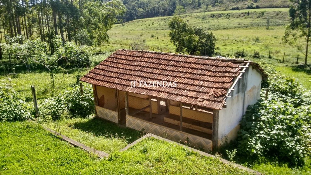 Sitio em Igrejinha – Juiz de Fora/MG – 30 hectares Sitio em Igrejinha – Juiz de Fora/MG – 30 hectares