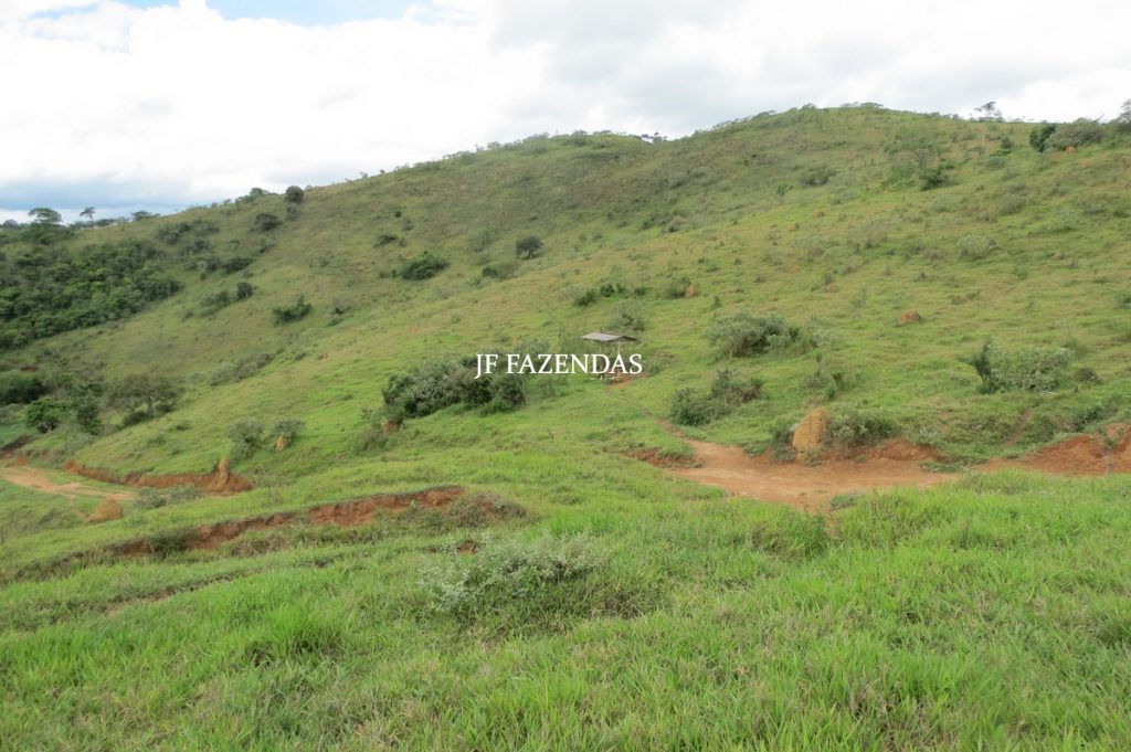 Fazenda em Bicas / MG – 86 hectares Fazenda em Bicas / MG – 86 hectares