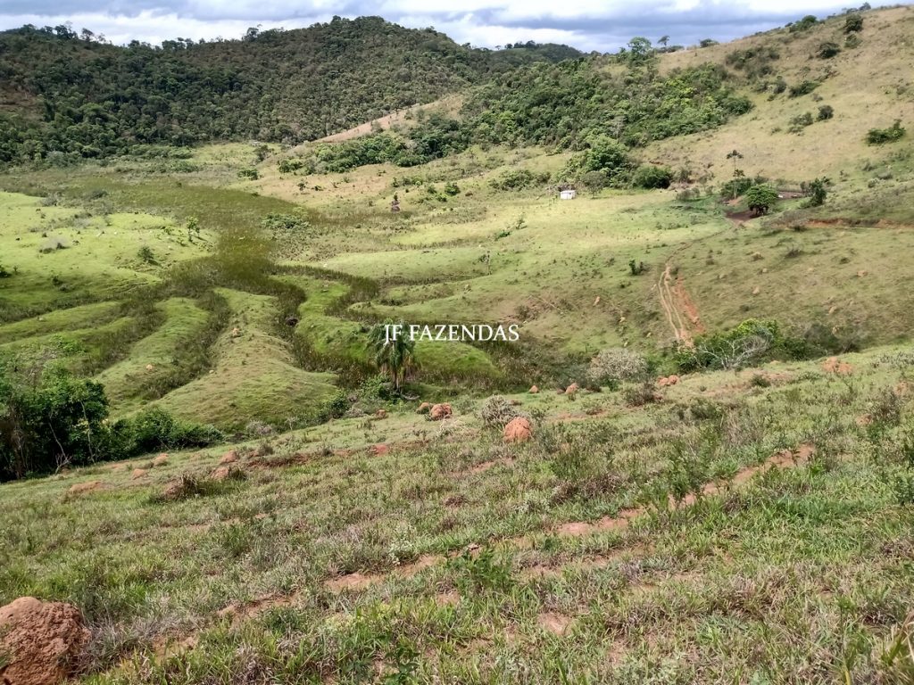 Fazenda em Bicas / MG – 86 hectares Fazenda em Bicas / MG – 86 hectares