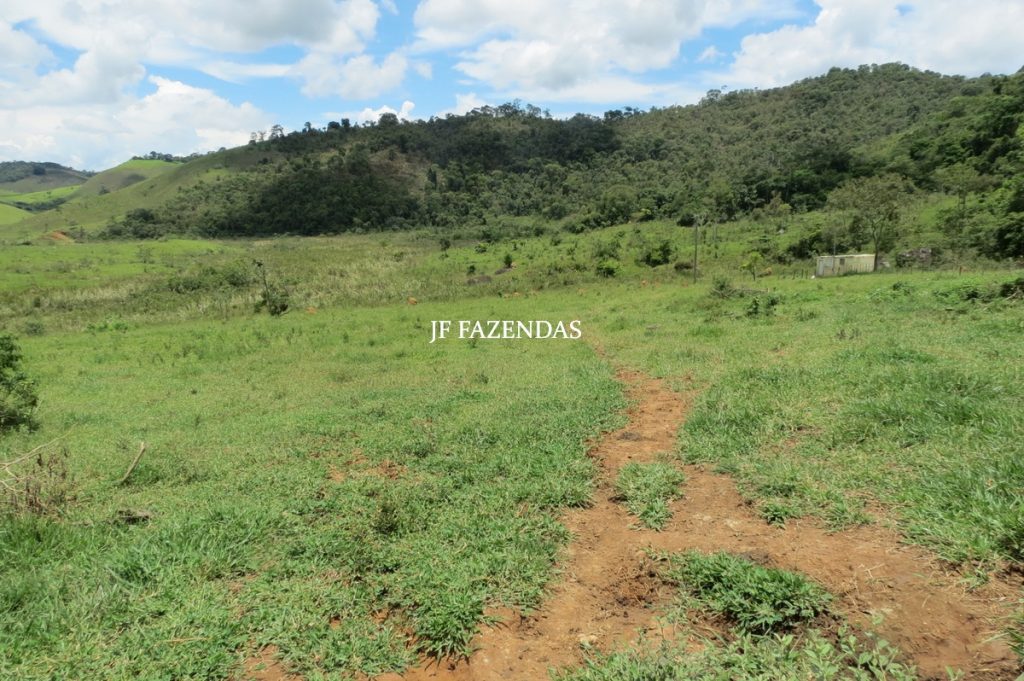 Fazenda em Bicas / MG – 86 hectares Fazenda em Bicas / MG – 86 hectares