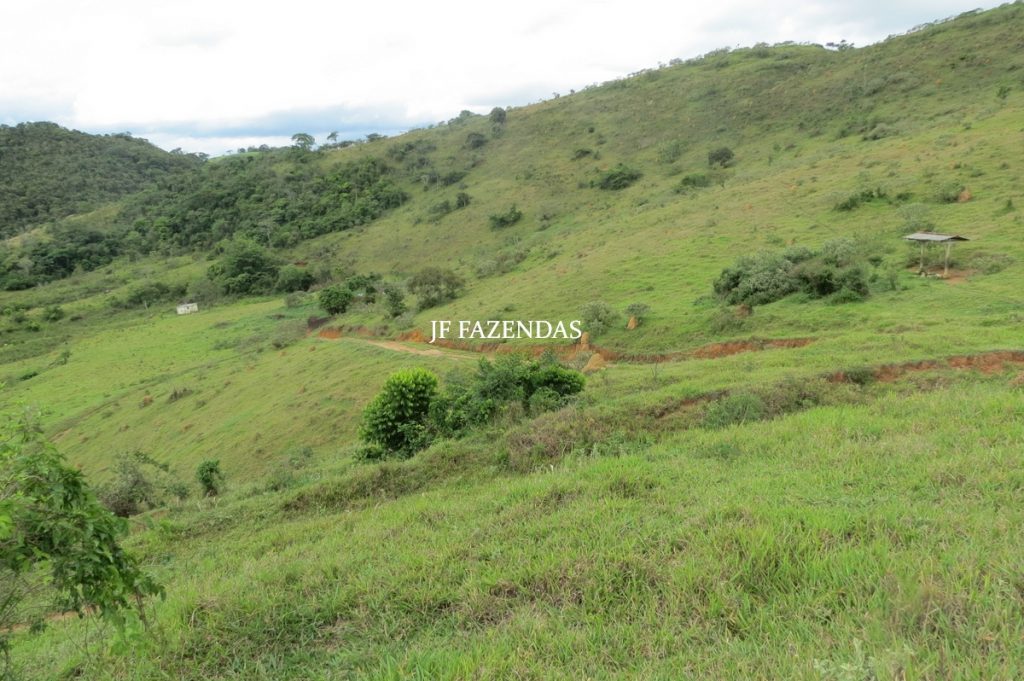 Fazenda em Bicas / MG – 86 hectares Fazenda em Bicas / MG – 86 hectares