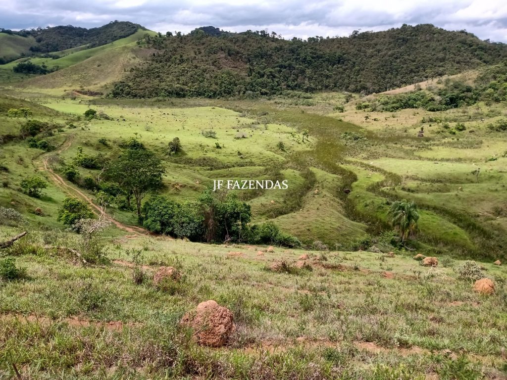 Fazenda em Bicas / MG – 86 hectares Fazenda em Bicas / MG – 86 hectares