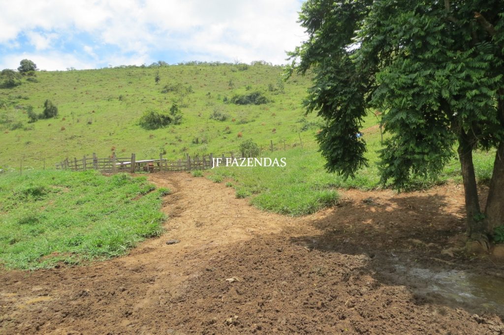 Fazenda em Bicas / MG – 86 hectares Fazenda em Bicas / MG – 86 hectares