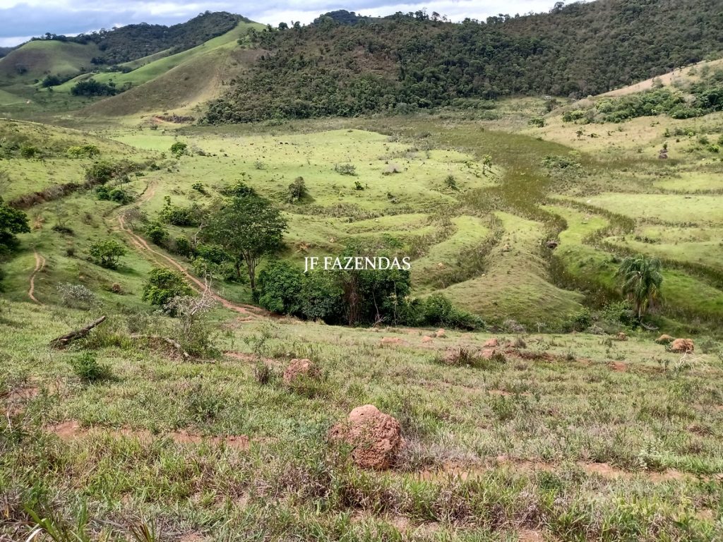 Fazenda em Bicas / MG – 86 hectares Fazenda em Bicas / MG – 86 hectares
