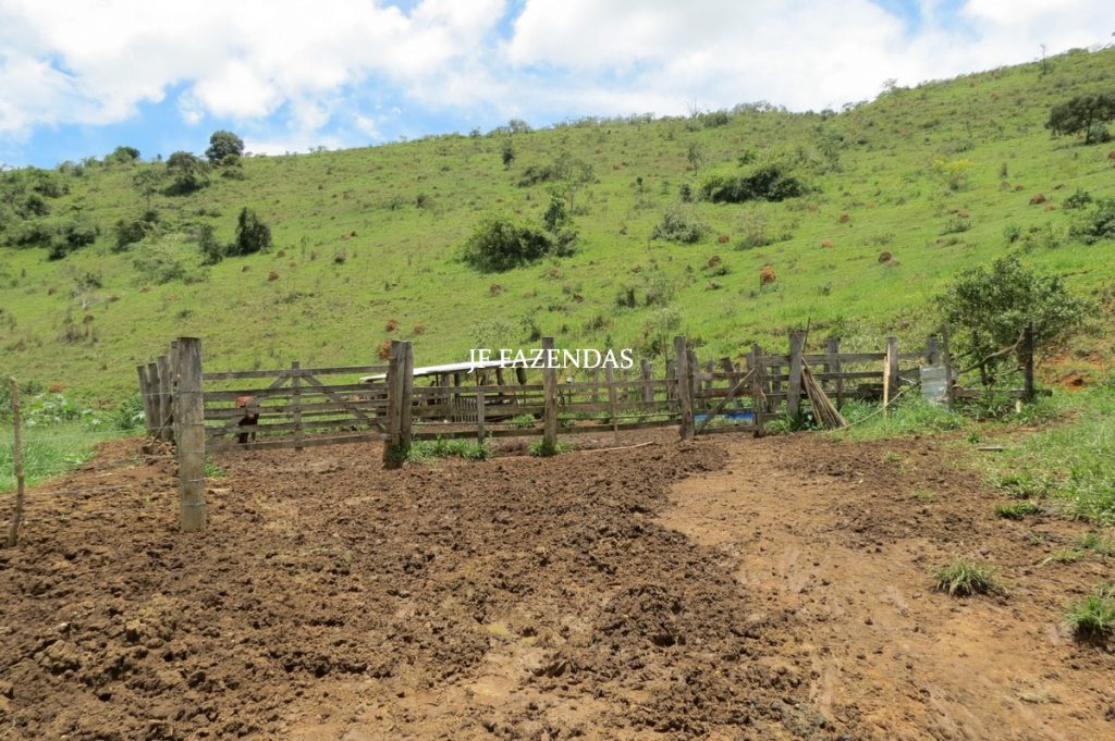 Fazenda em Bicas / MG – 86 hectares Fazenda em Bicas / MG – 86 hectares