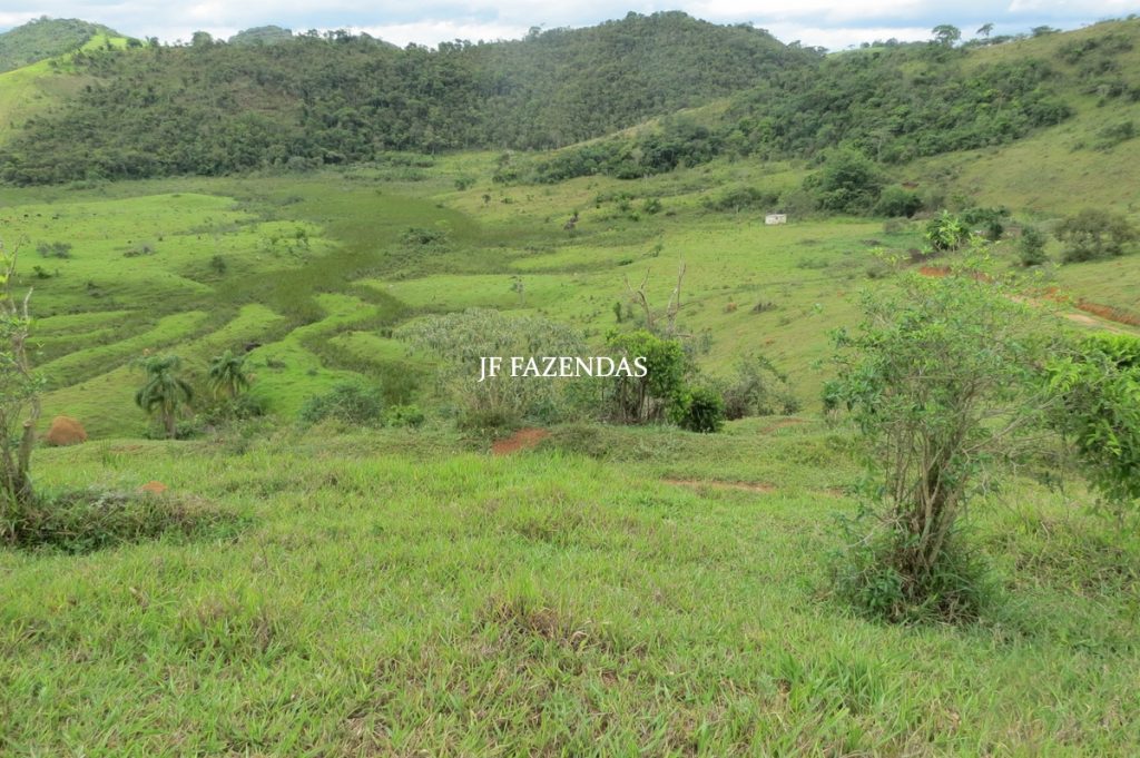 Fazenda em Bicas / MG – 86 hectares Fazenda em Bicas / MG – 86 hectares