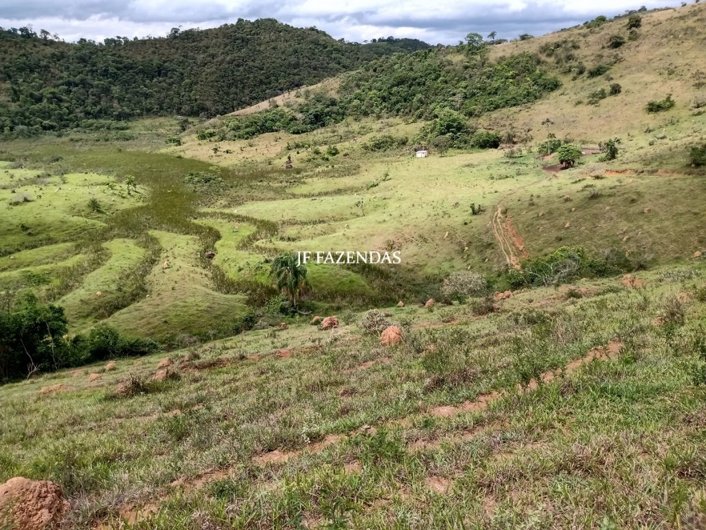 Fazenda em Bicas / MG – 86 hectares Fazenda em Bicas / MG – 86 hectares